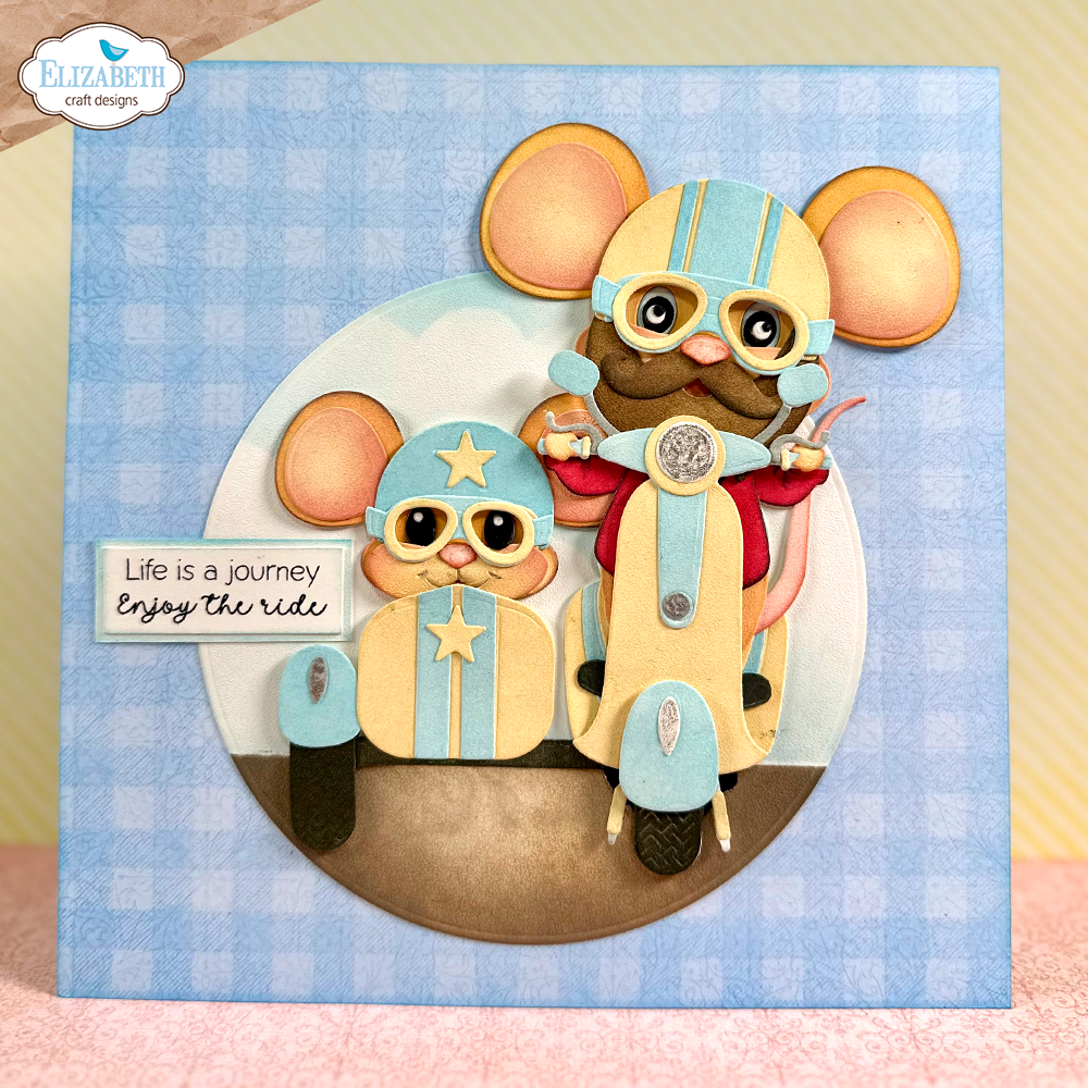 Scooter with sidecar