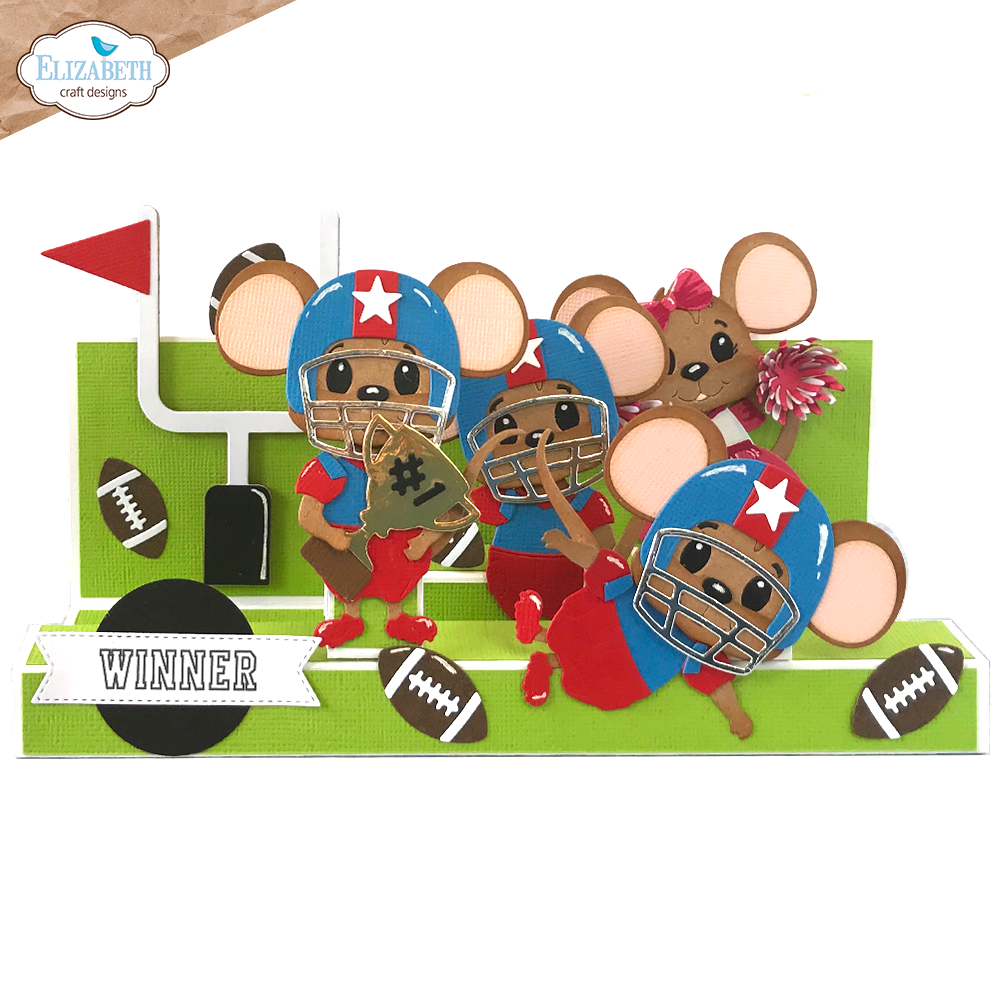 Football/ Baseball Accessories