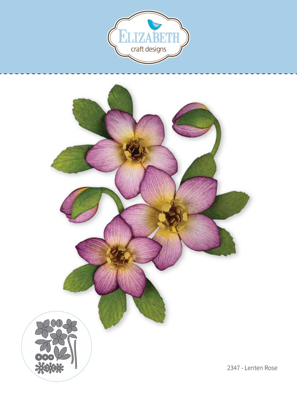 Lenten Rose