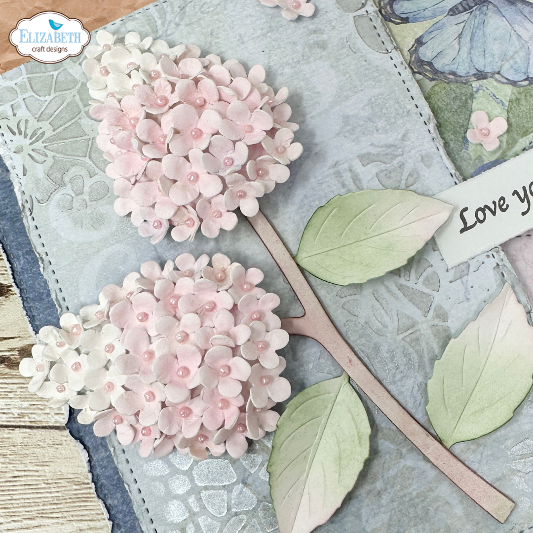 Panicle Hydrangea