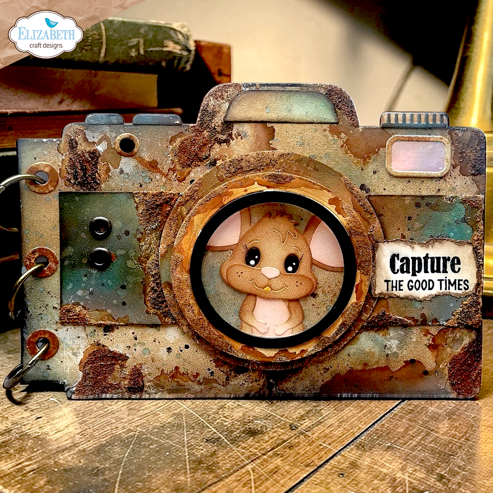 Camera and Suitcase Build a Book