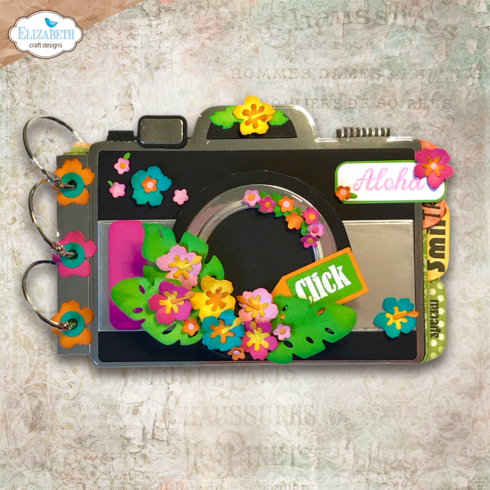 Camera and Suitcase Build a Book