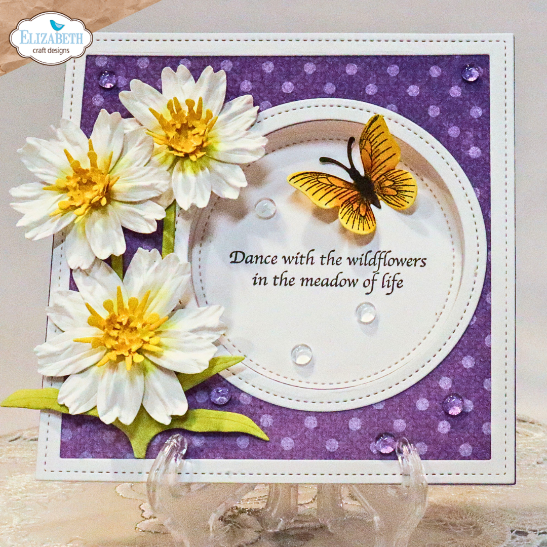 Blackfoot Daisy