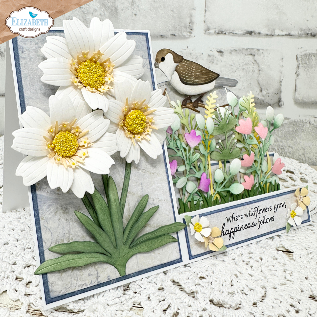 Blackfoot Daisy