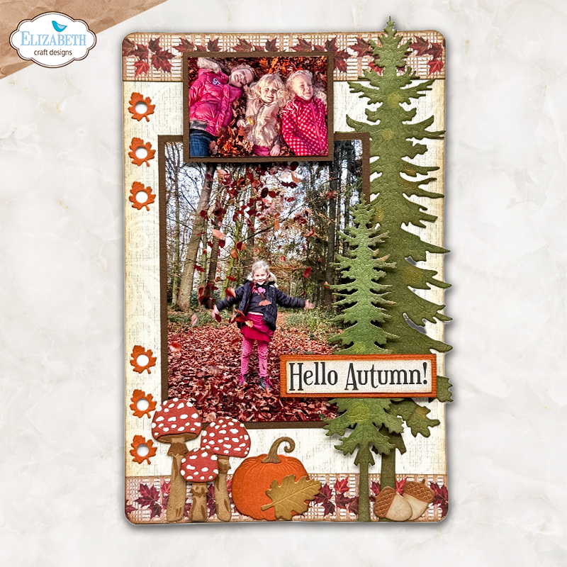 Fall in the Forest