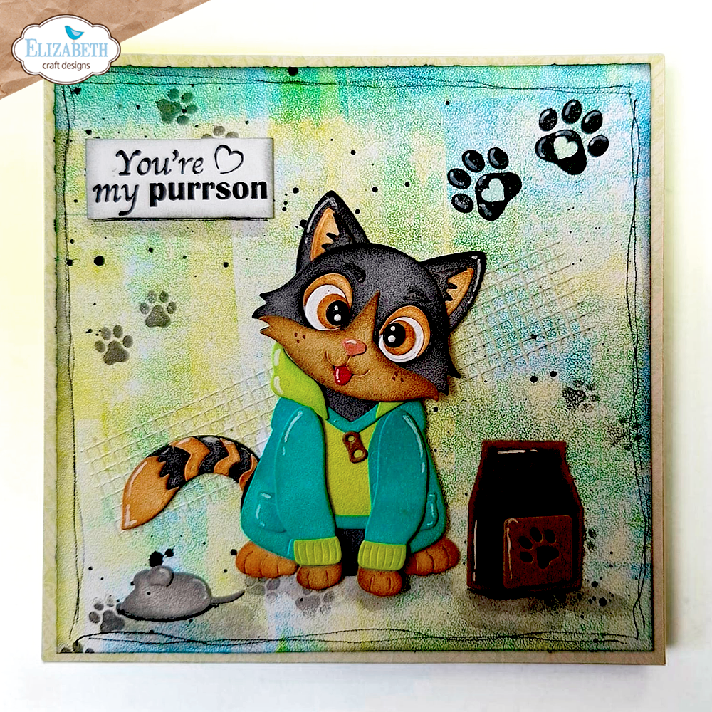 Cat Sentiments
