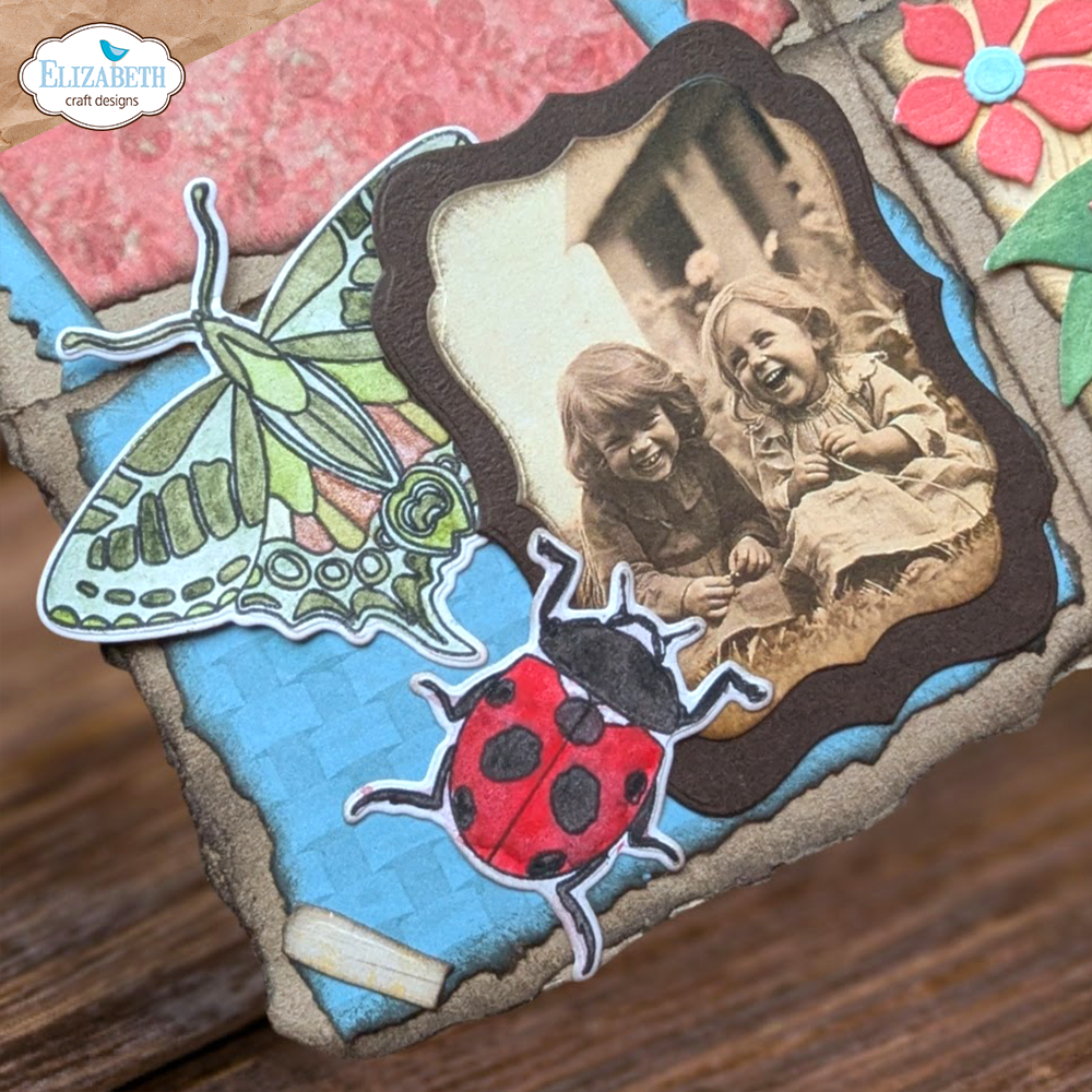 Beetles and Bugs Stamp and Die Set