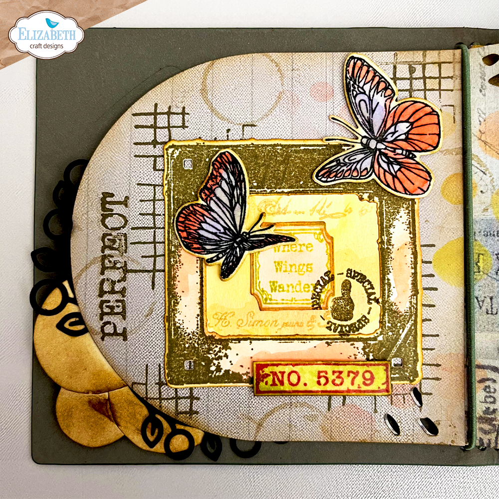 Where Wings Wander Stamp and Die Set