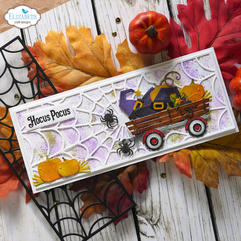 Spider Web Slimline Background