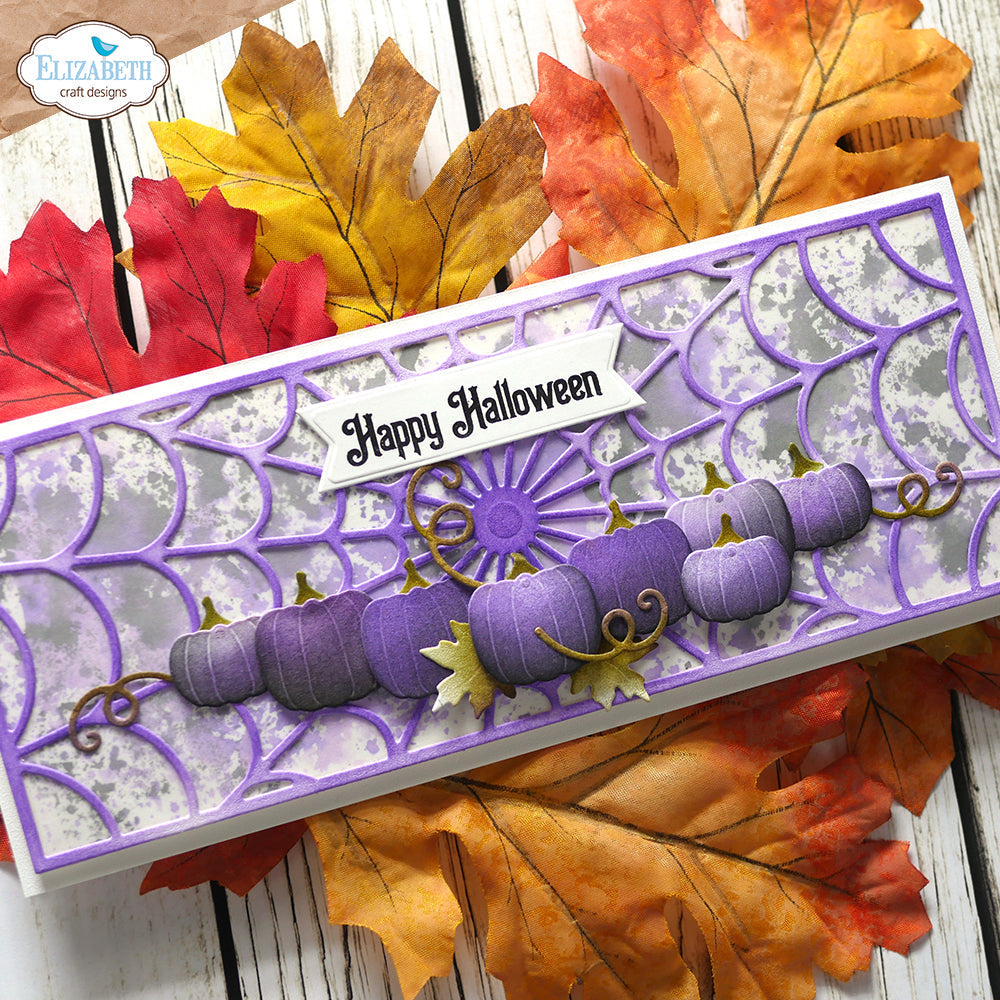 Spider Web Slimline Background