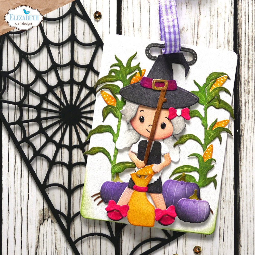 Spider Web Slimline Background