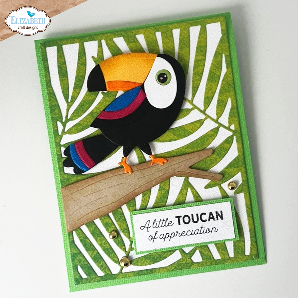 Teddy the Toucan