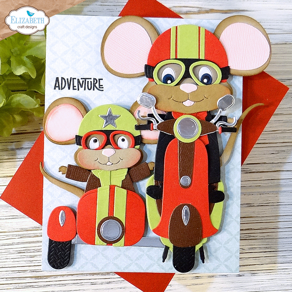 Scooter with sidecar