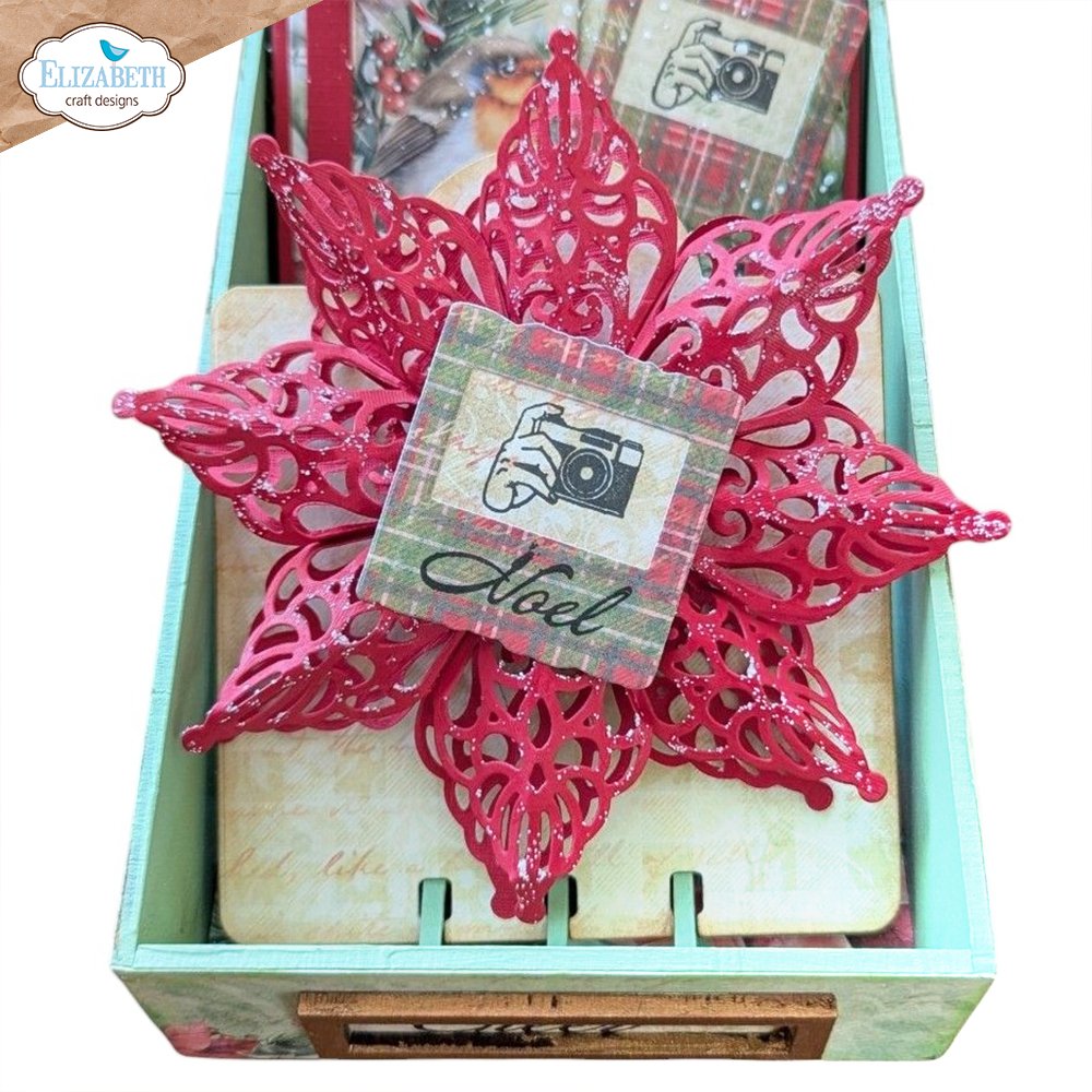 Festive Star