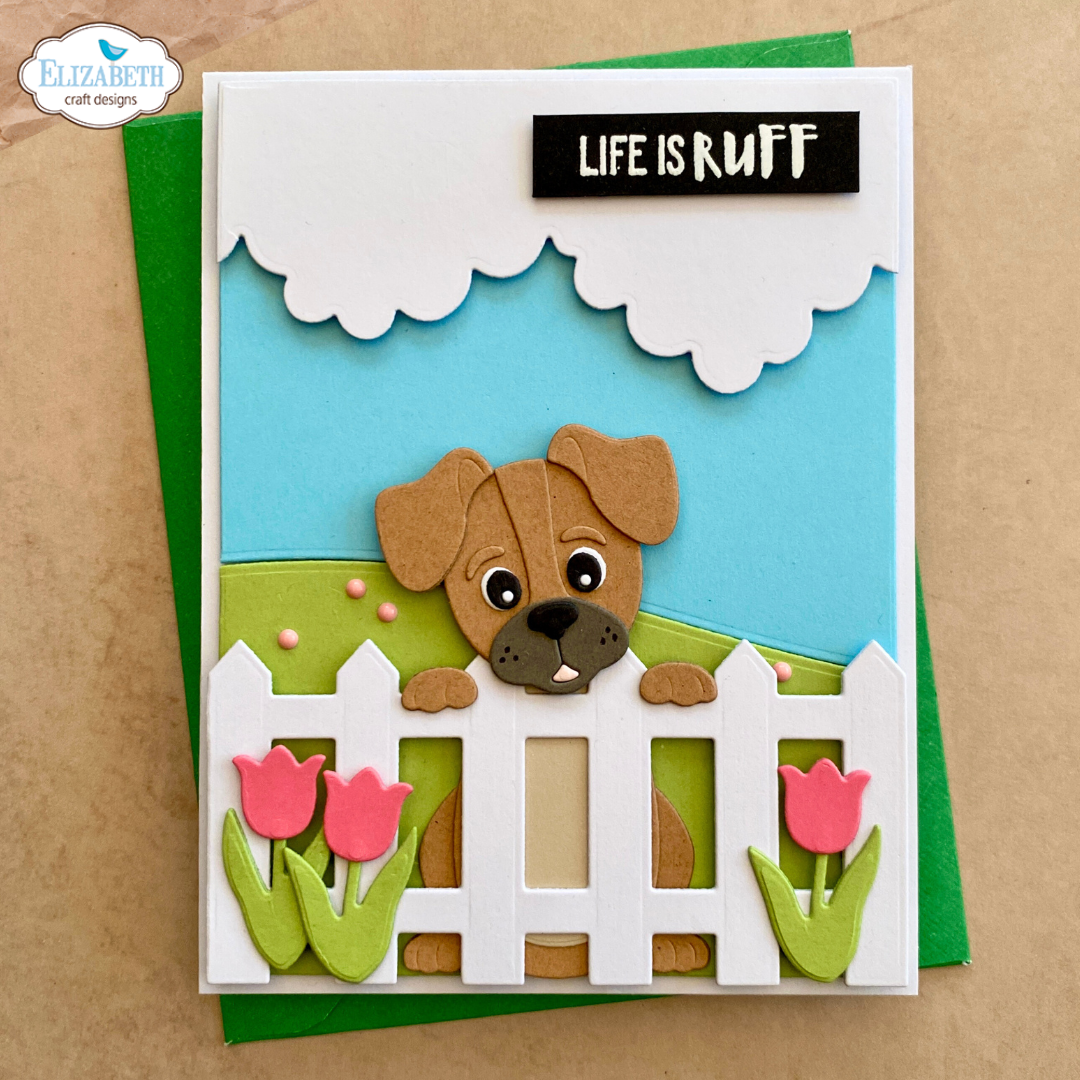 Garden edges and fence