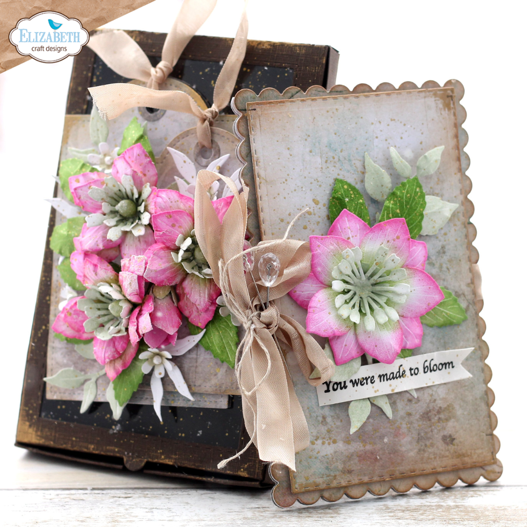 Lenten Rose
