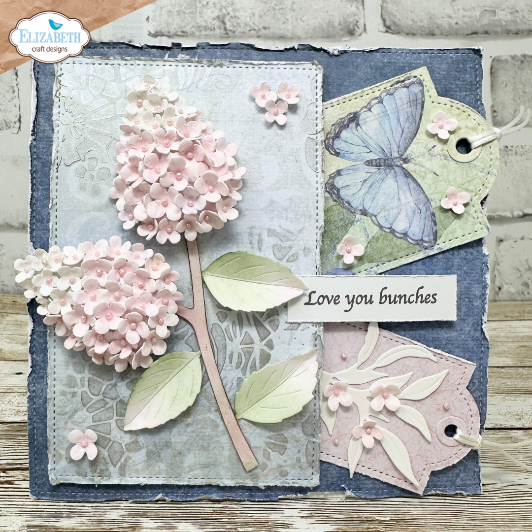 Panicle Hydrangea