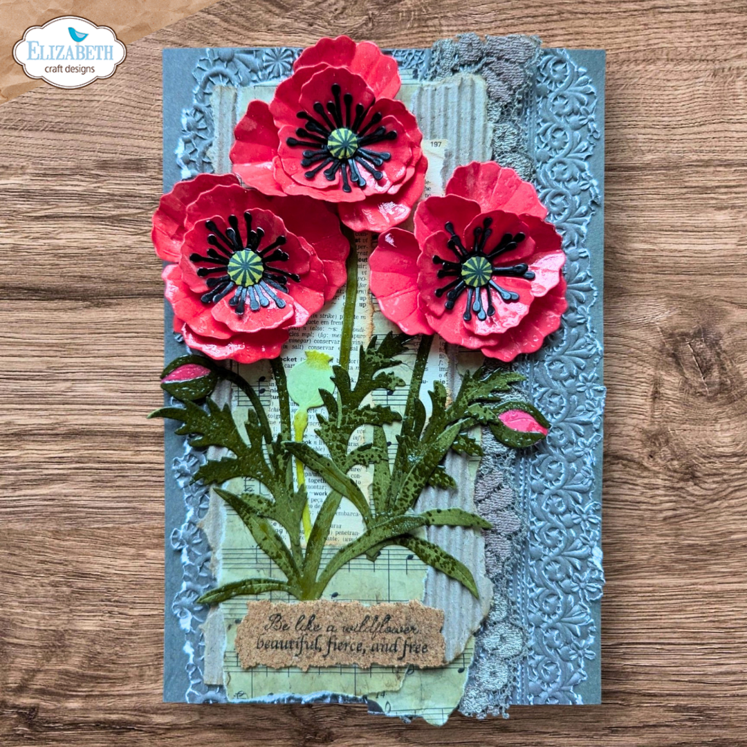 Wild Poppy