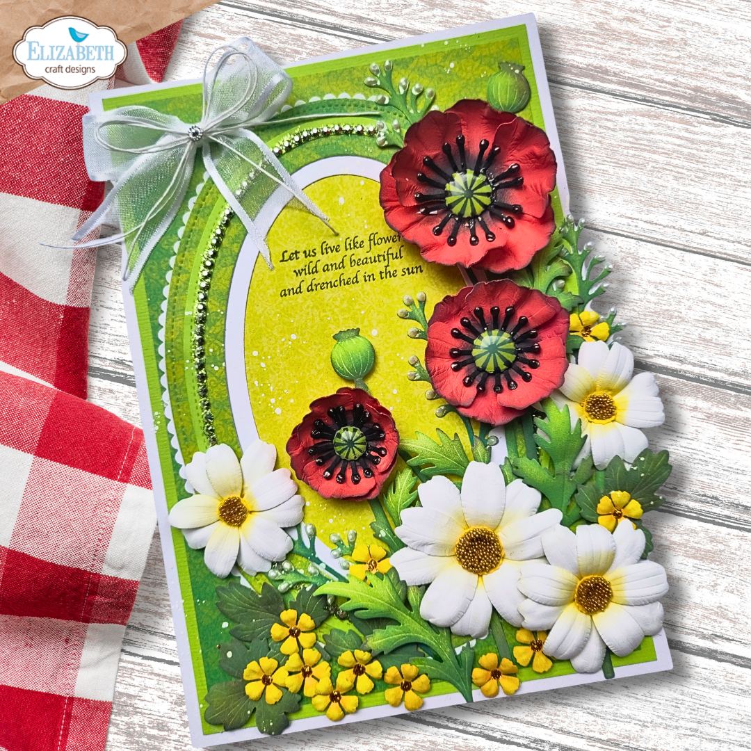Blackfoot Daisy