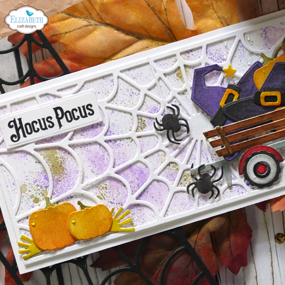 Spider Web Slimline Background