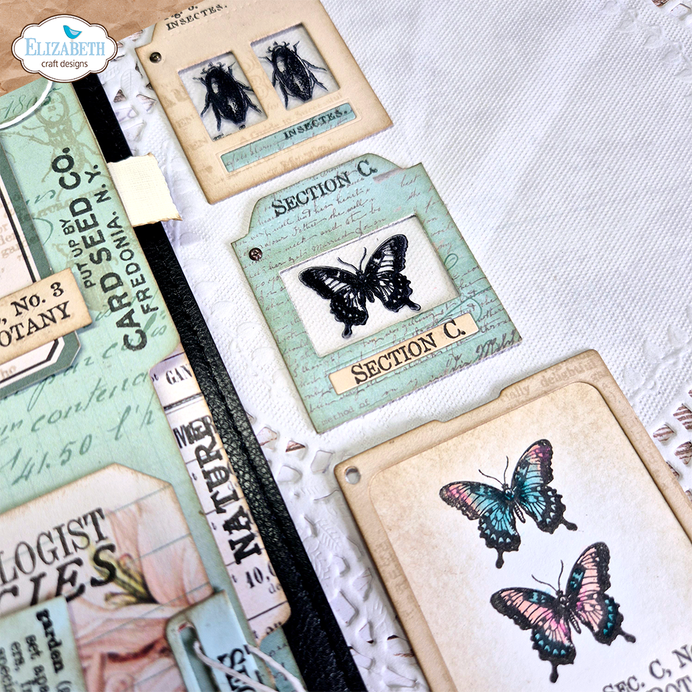 Postage Stamps 3