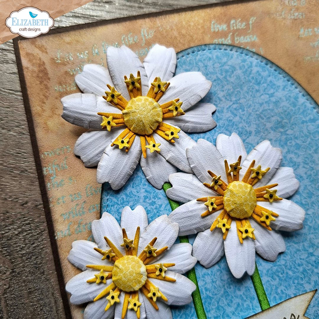 Flower Centers 3