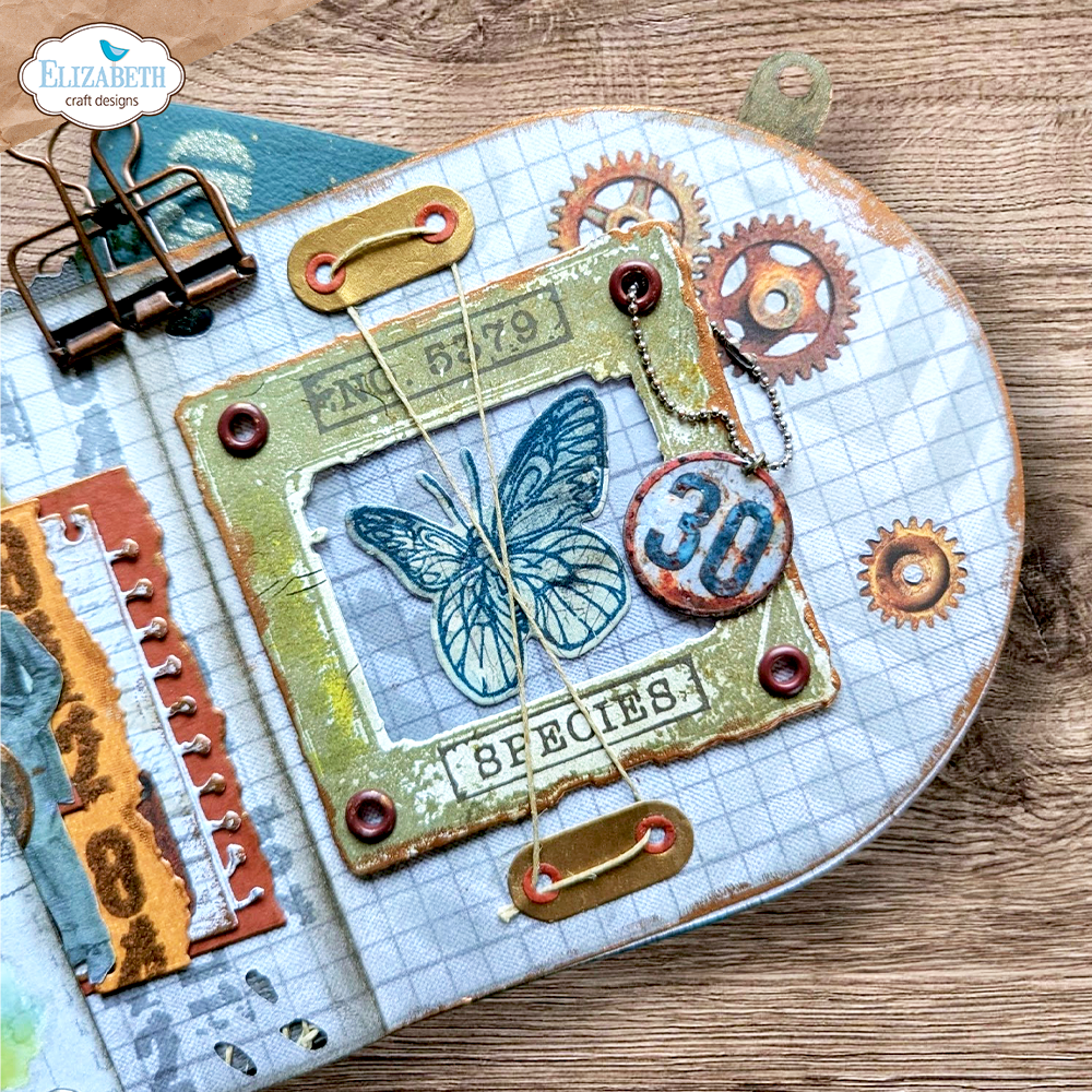 Where Wings Wander Stamp and Die Set