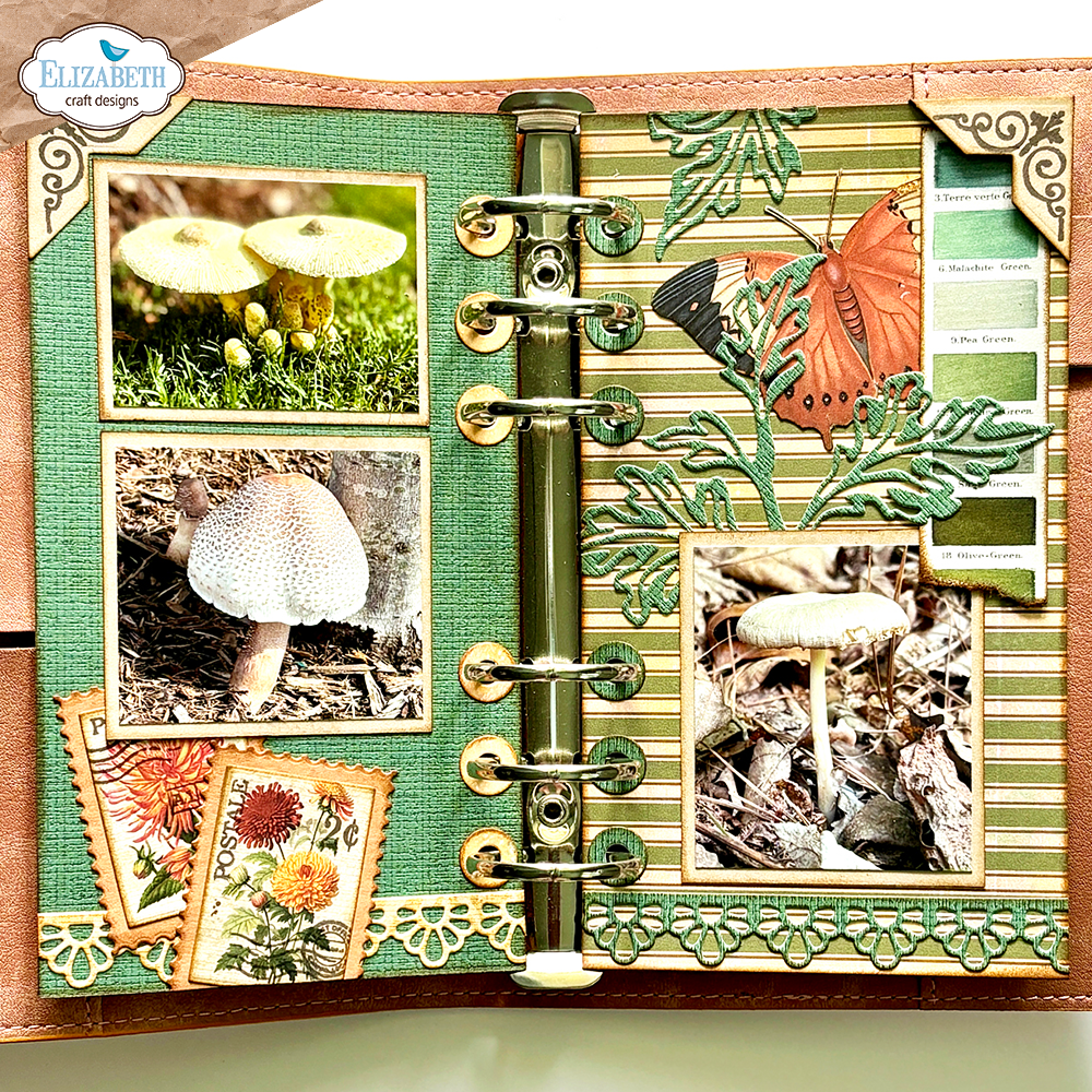 Card Maker Special Kit