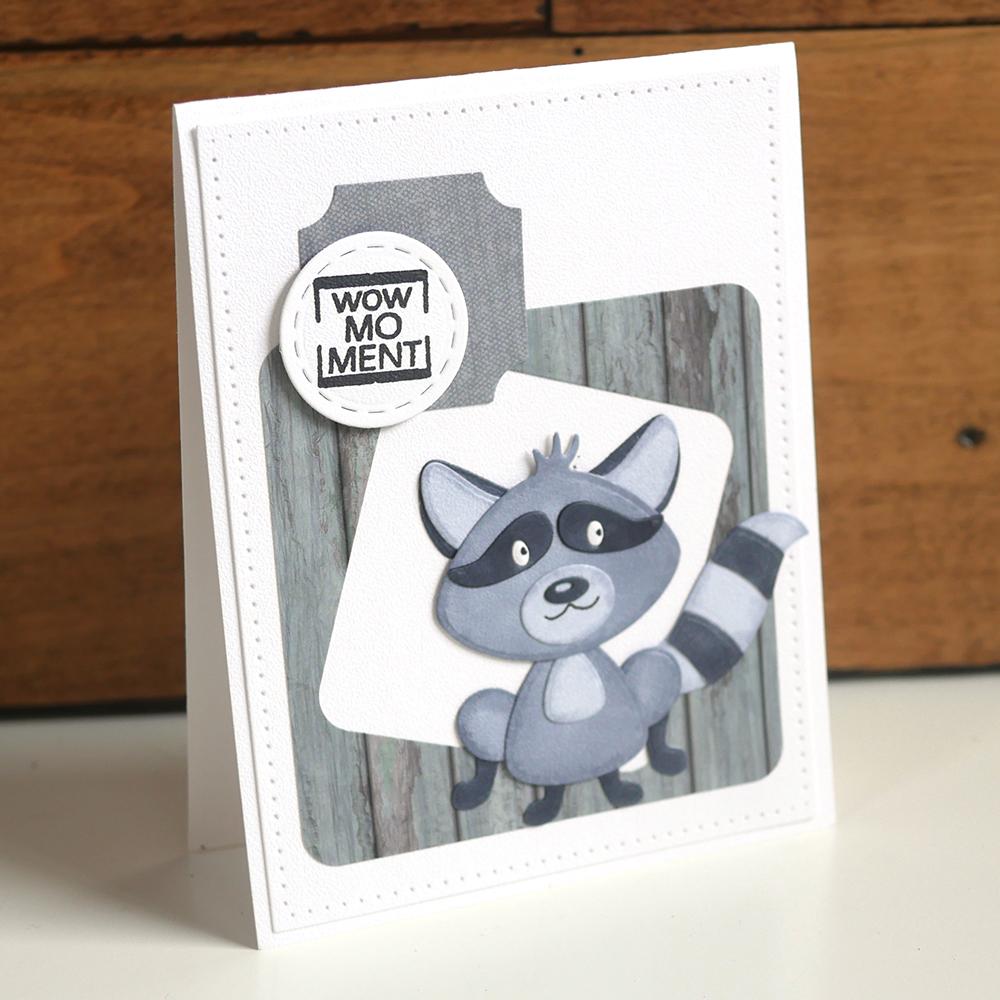Raccoon