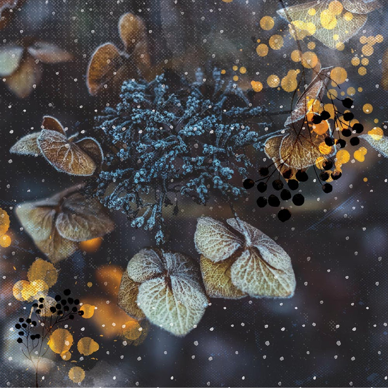 Mystical Winter