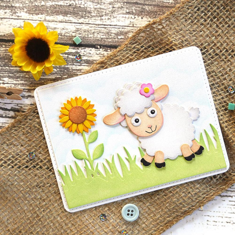 Sheep