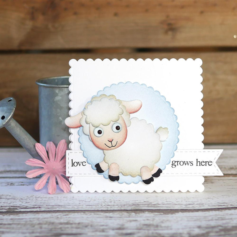 Sheep