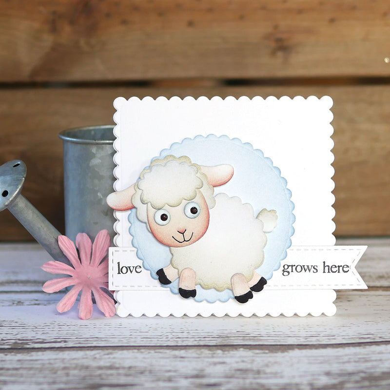 Sheep