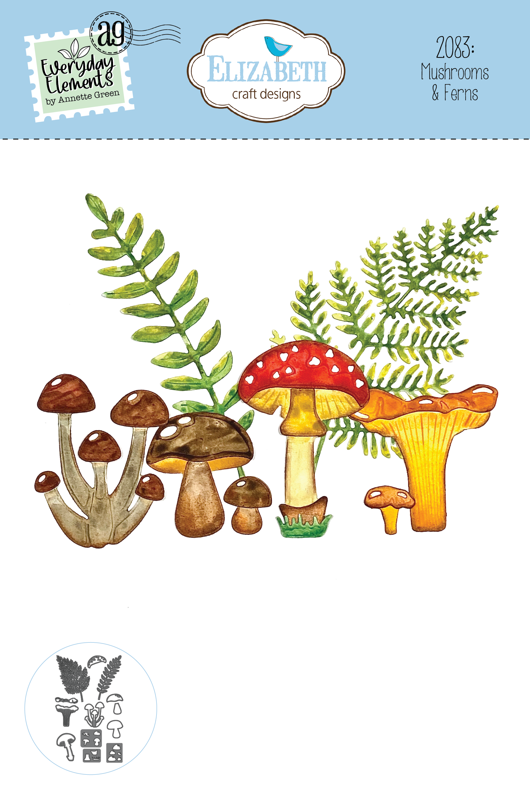 Mushrooms & Ferns